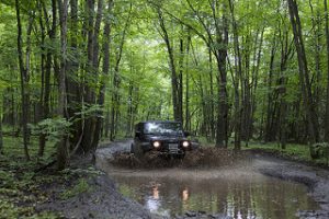 14673178822_2c973fa237_n