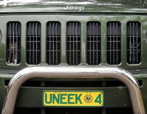 26298586206_f45450fb49_n