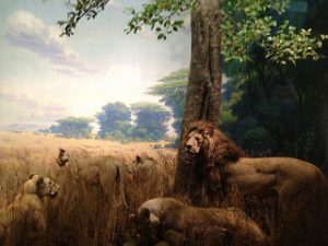 6993123084_0a72093701_n